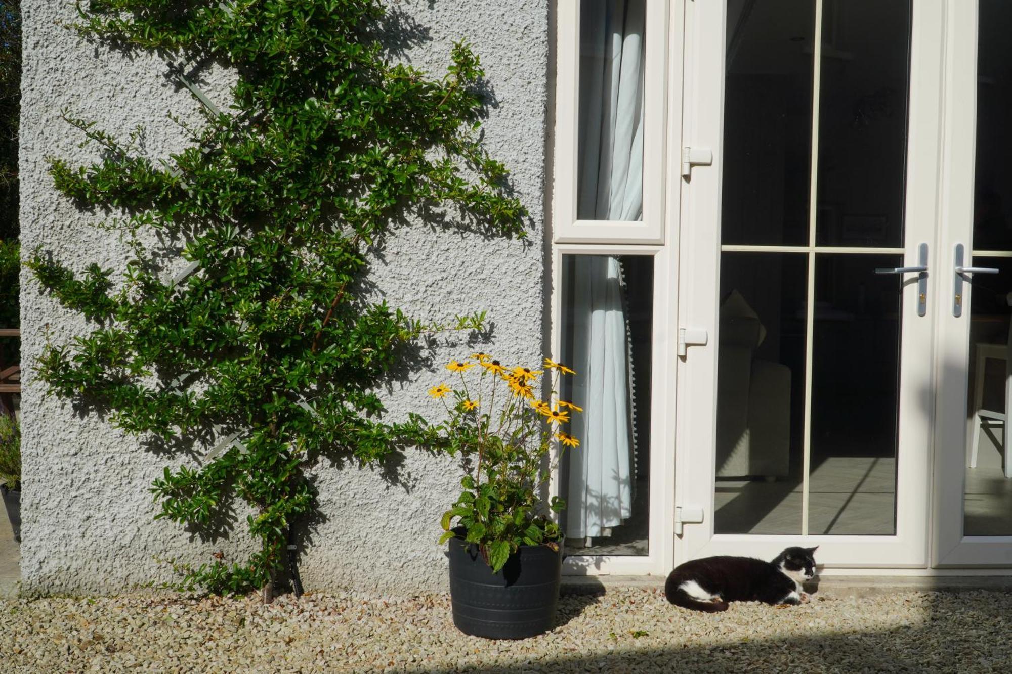 Ivy Lodge Letterkenny Ngoại thất bức ảnh
